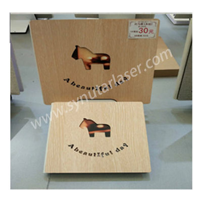 2000W / 1500W Laser-Schnitt-Gravurmaschine mit DSP-Steuerungssystem